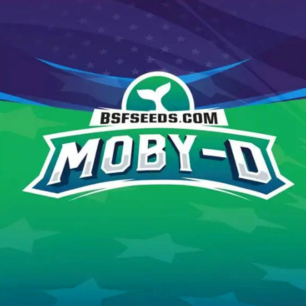 BSF MOBY-D XXL AUTO X12