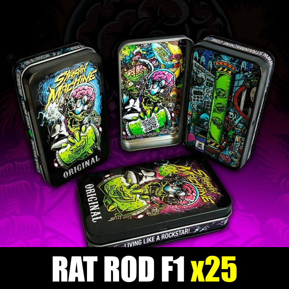 RAT ROD FAST VERSION X25 STRAIN MACHINE