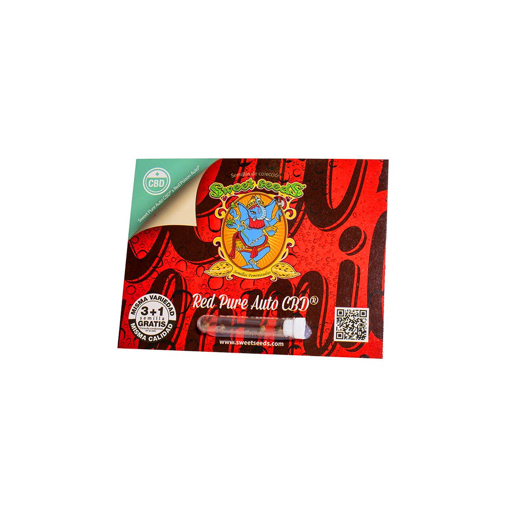 RED PURE CBD AUTO 3+1 SWEET SEEDS