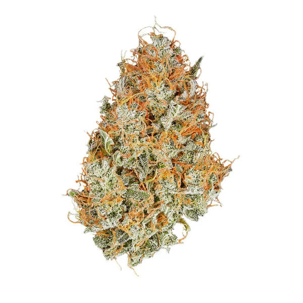 AMNESIA HAZE AUTO X10 ROYAL QUEEN SEEDS