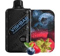 VAPORIZADOR DESECHABLE VISHBAR WEEKLY 20000 PUFFS BLUEBERRY RASPBERRY