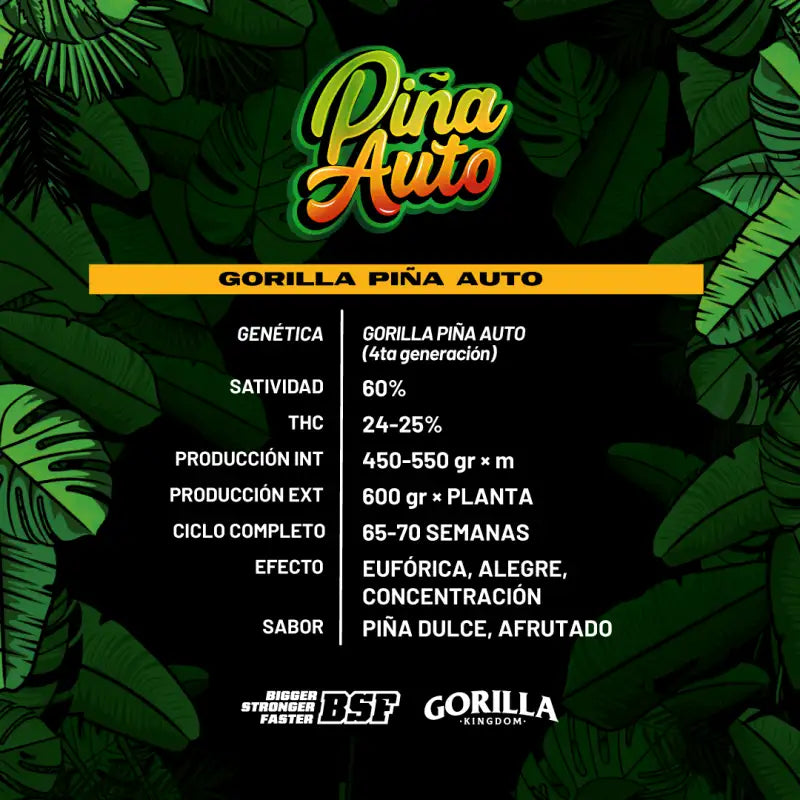 GORILLA PIÑA AUTO X12 BSF