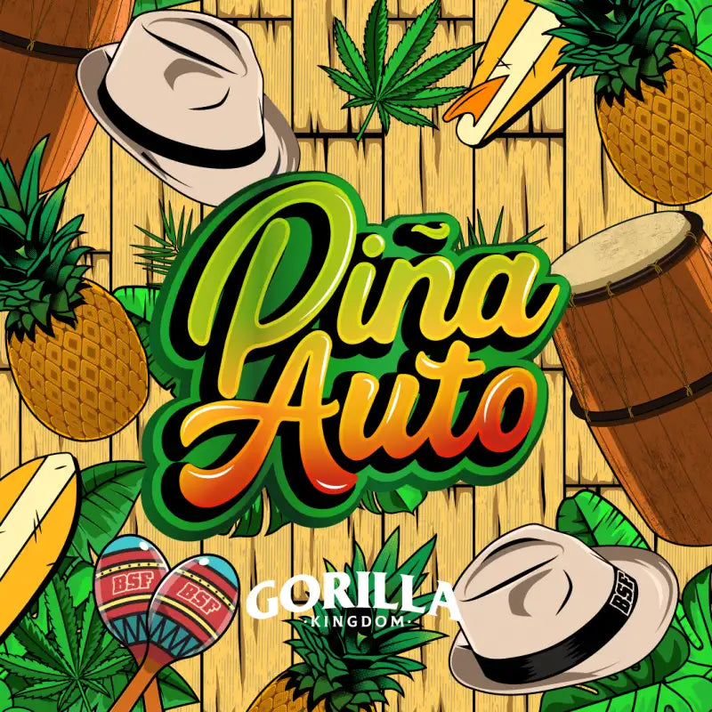 GORILLA PIÑA AUTO X12 BSF