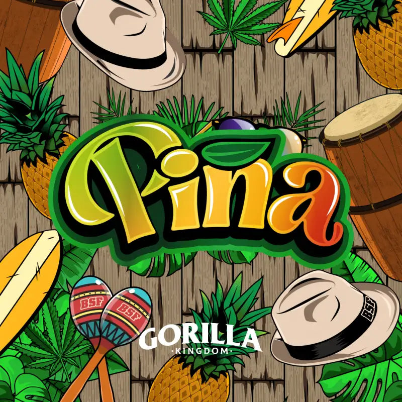 GORILLA PIÑA X12 FEM BSF