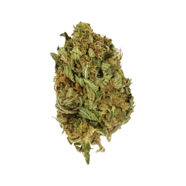 KALI DOG FEM X10 ROYAL QUEEN SEEDS