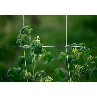 MALLA SCROG TRELLIS TECH 1,5X4,5MT