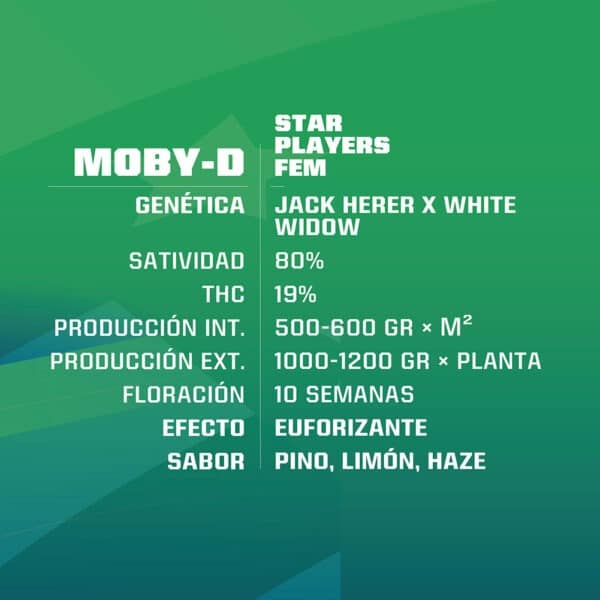 MOBY-D FEM X12 BSF SEEDS