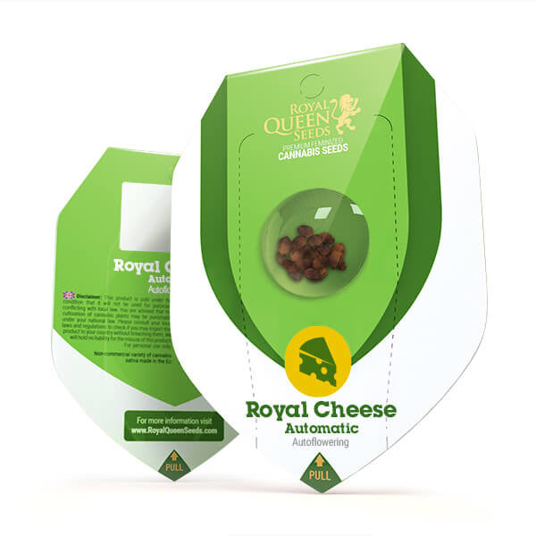 ROYAL CHEESE AUTO X10 ROYAL QUEEN SEEDS