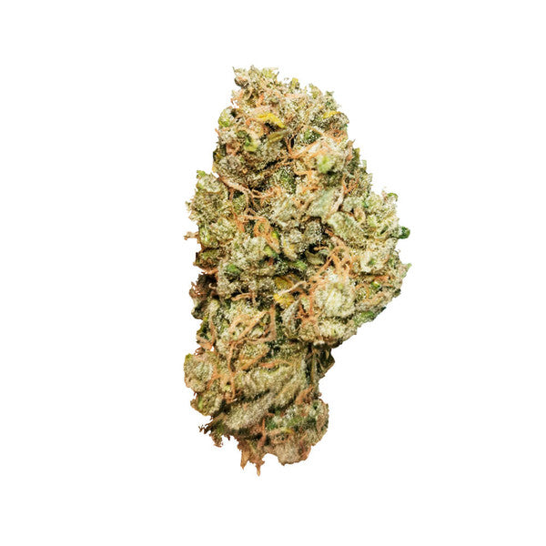 ROYAL CHEESE AUTO X10 ROYAL QUEEN SEEDS