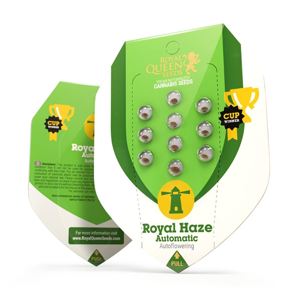 ROYAL HAZE AUTO X10 ROYAL QUEEN SEEDS