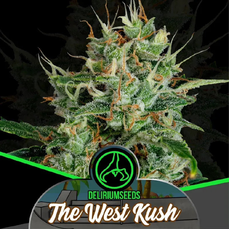 MIX LION BLESS AUTO X14 DELIRIUM SEEDS