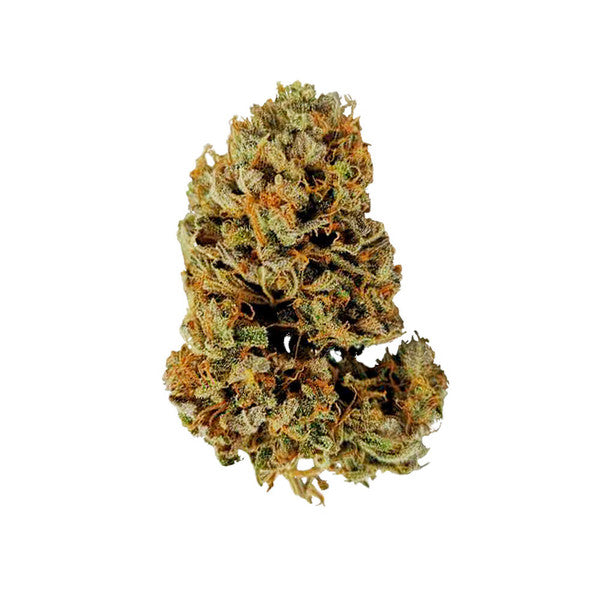 WHITE WIDOW AUTO X10 ROYAL QUEEN SEEDS