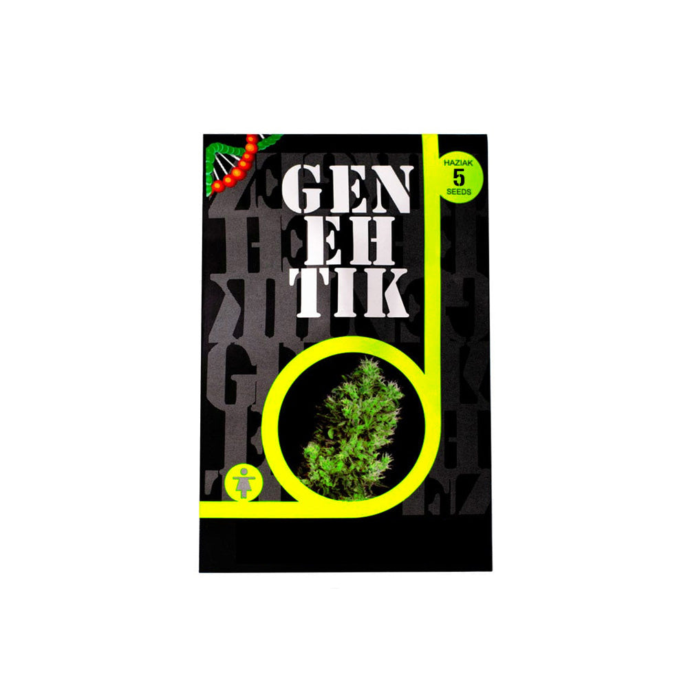 TXEES BILBO X5 GENEHTIK