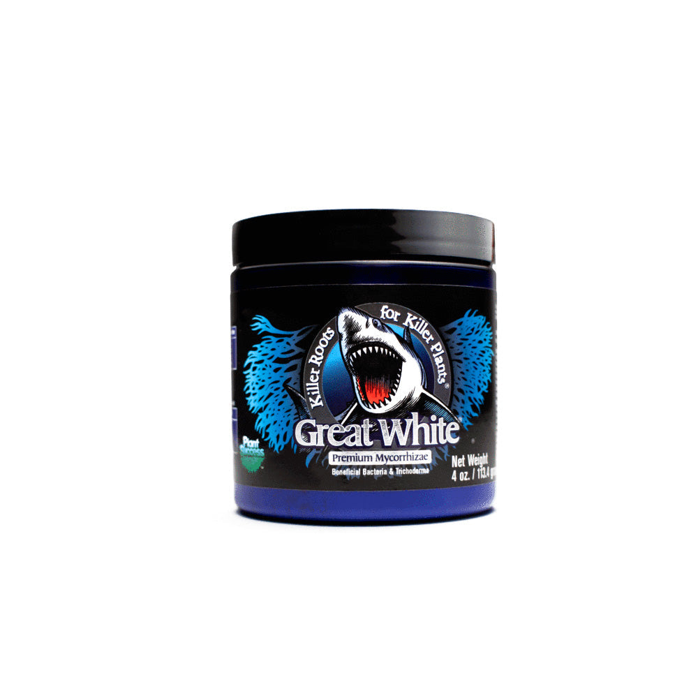 MYCORRHIZAE 113G GREATWHITESHARK