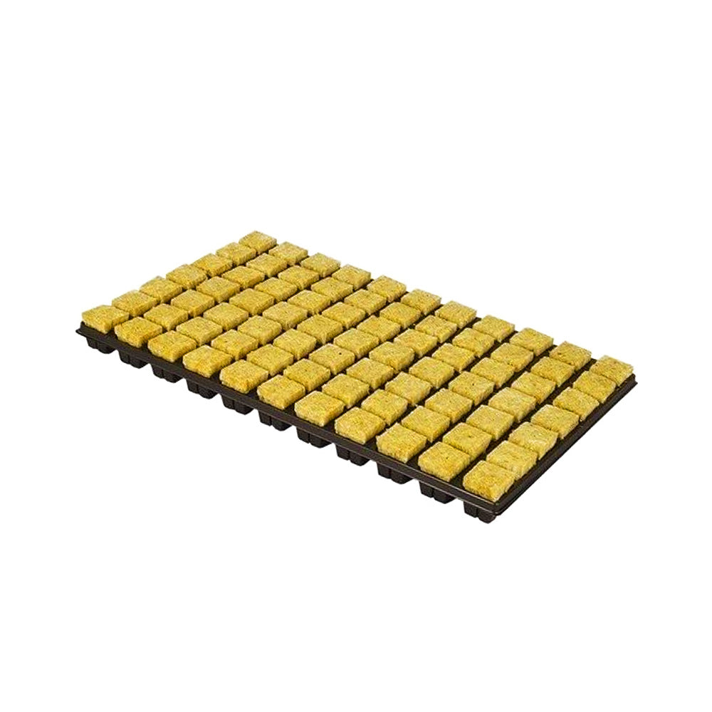 Bandeja Lana de Roca 25x25x40mm