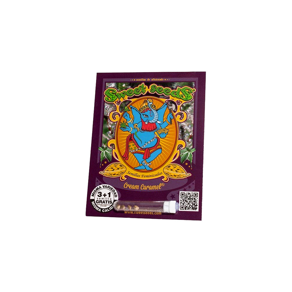 CREAM CARAMEL FEM X3+1 SWEET SEEDS