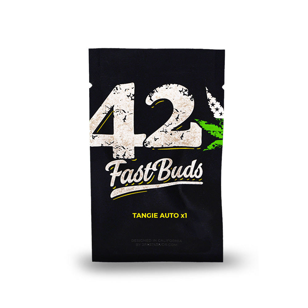 TANGIE AUTO x1 FAST BUDS