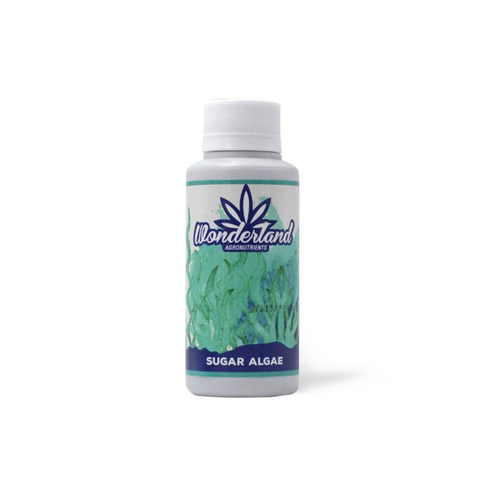SUGAR ALGAE 120ML WONDERLAND
