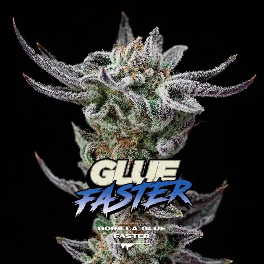 GORILLA GLUE FASTER X4 BSF