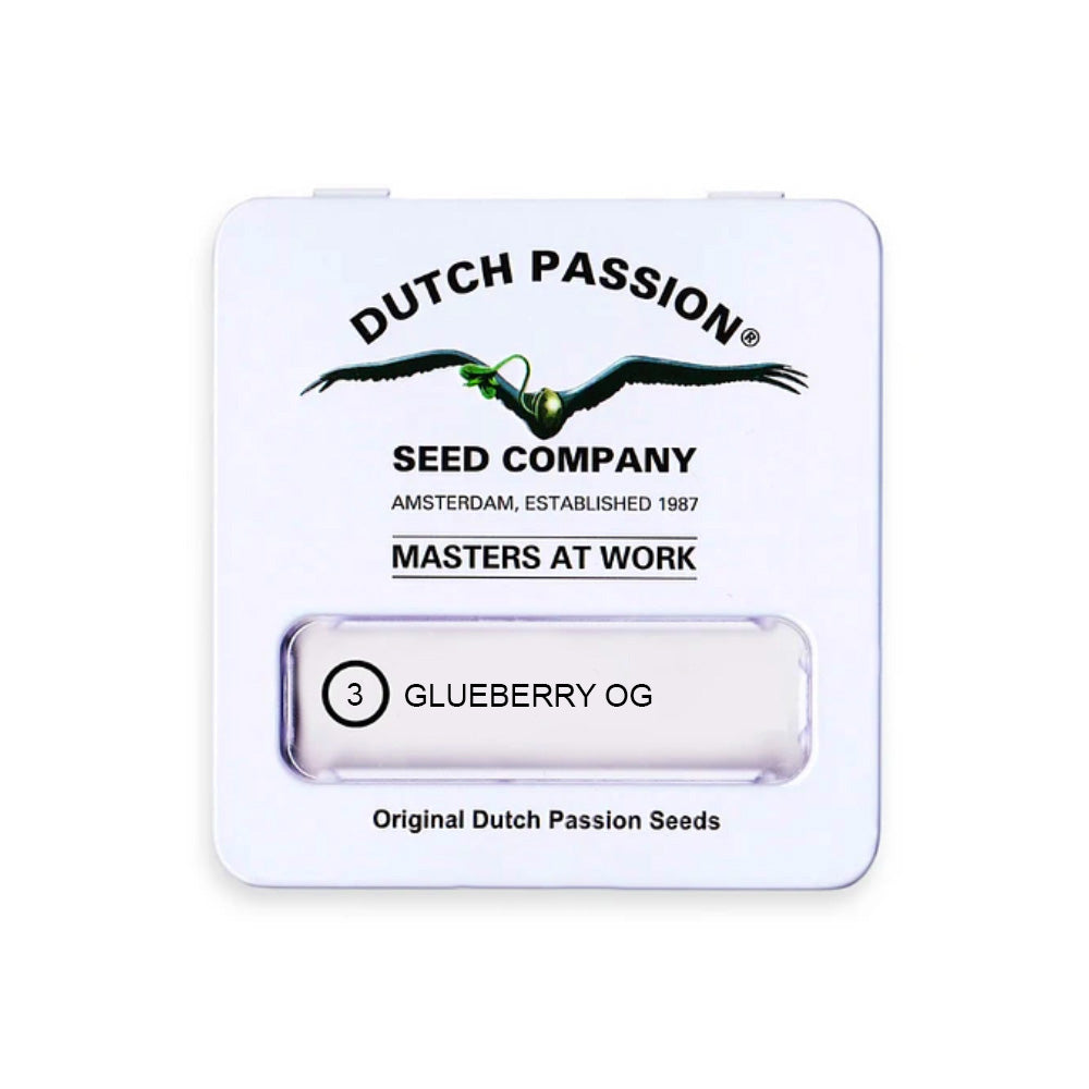 GLUEBERRY OG FEM X3 DUTCH PASSION