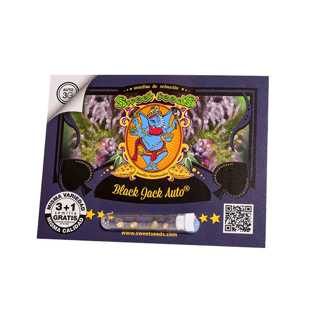 BLACK JACK AUTO X3+1 SWEET SEEDS