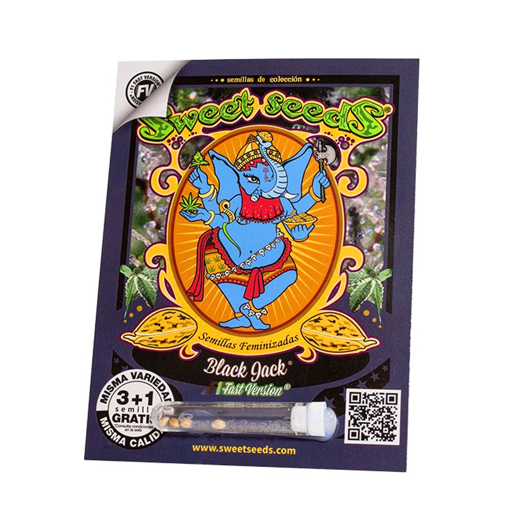 BLACK JACK F1 X3+ 1 SWEET SEEDS