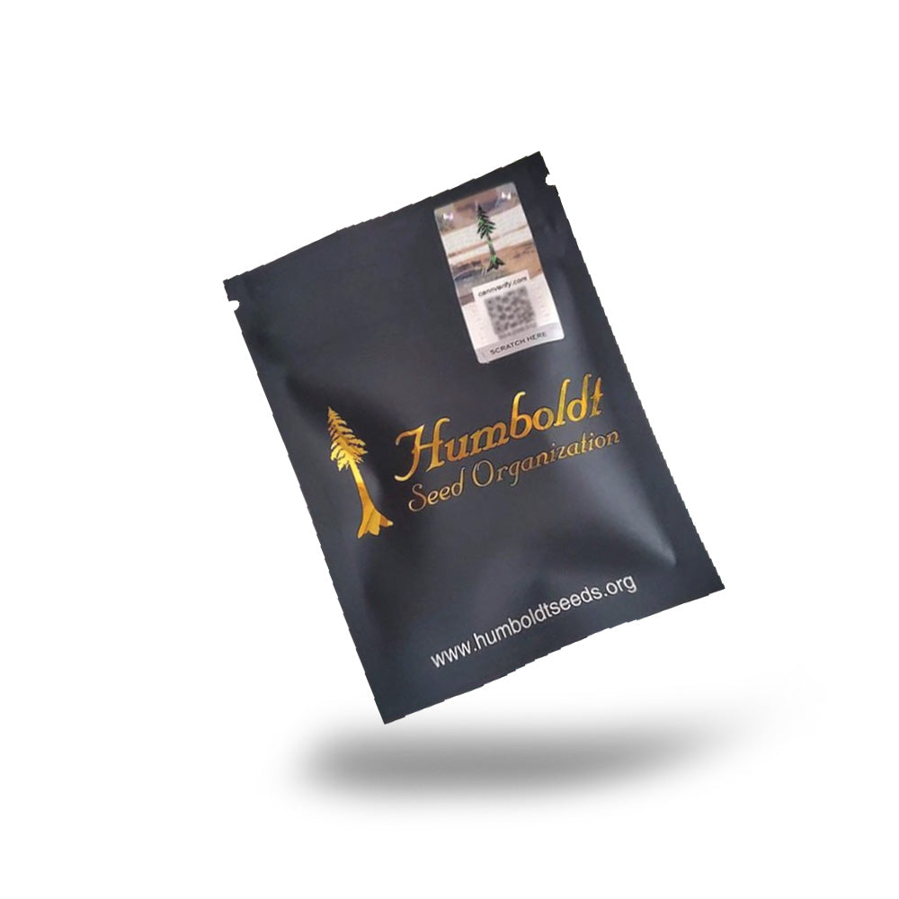 OG KUSH AUTO X 3 HUMBOLDT SEEDS