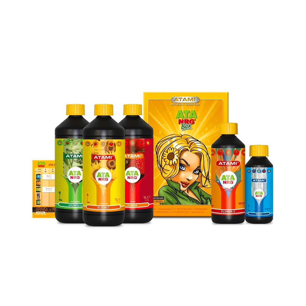 ATA ORGANIC BOX ATAMI