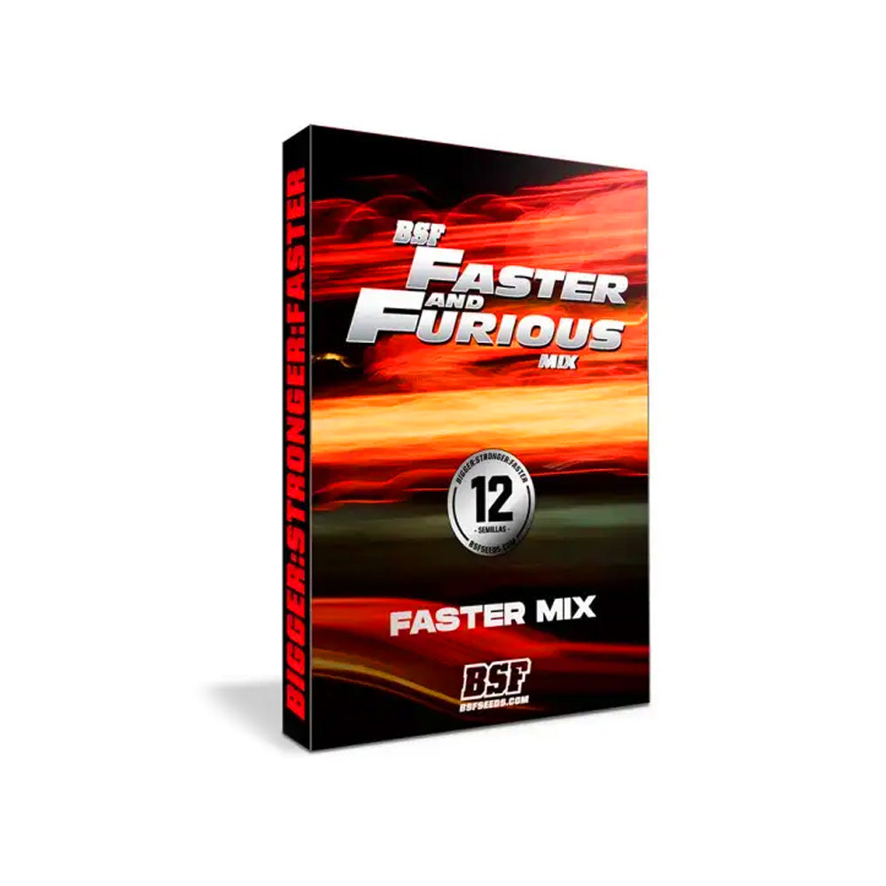 FASTER AND FURIOUS FASTER MIX X12 BSF SEEDS