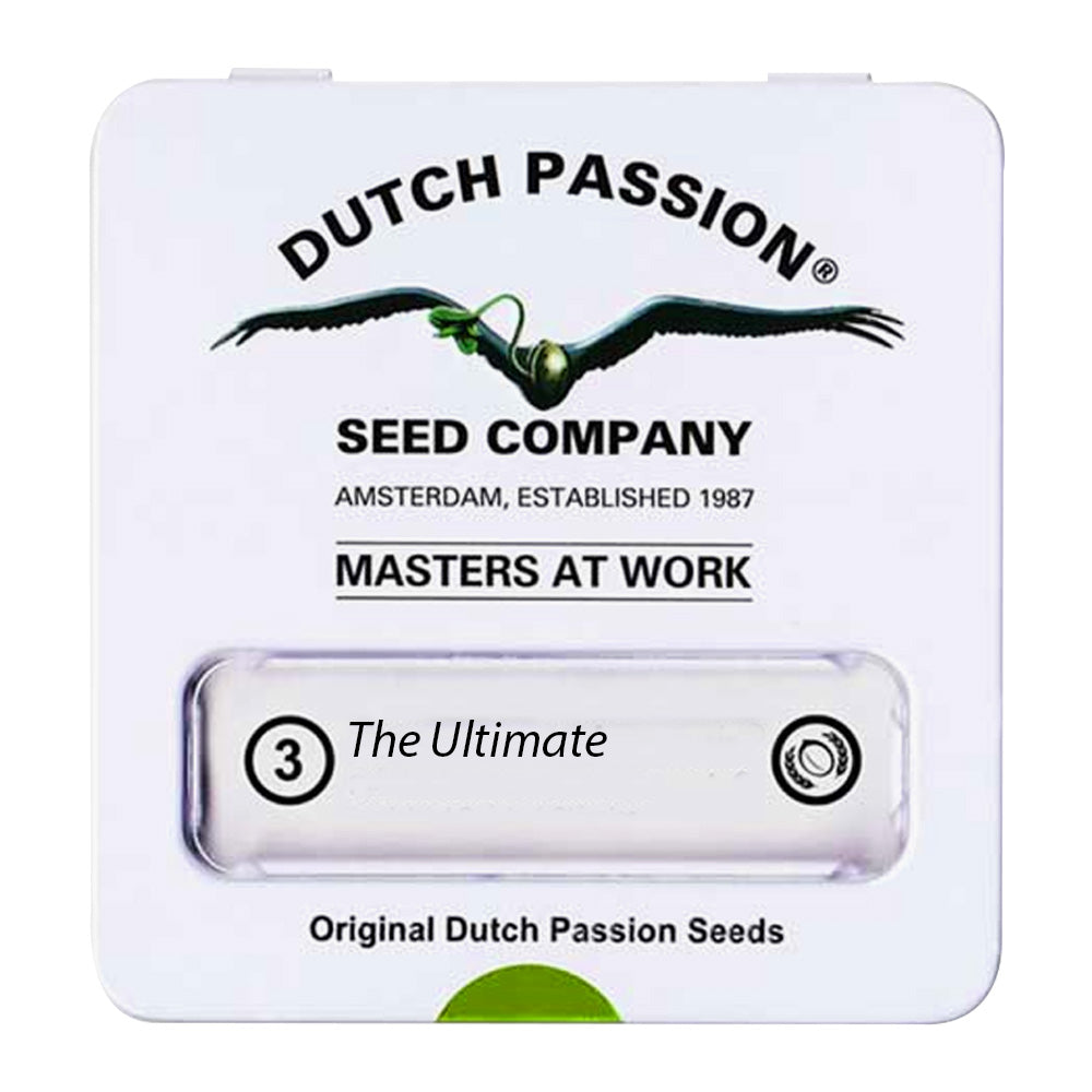 THE ULTIMATE FEM X3 DUTCH PASSION