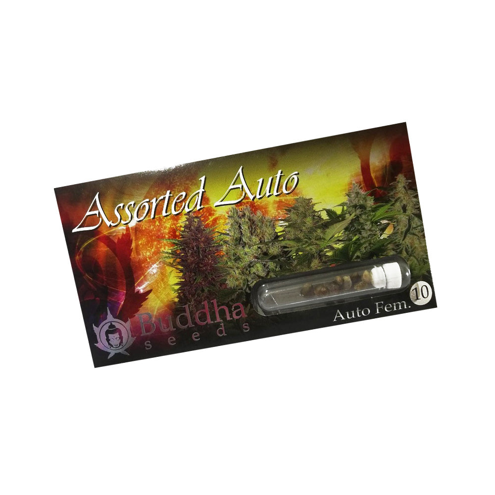 SEMILLAS MIX ASSORTED X10 BUDDHA SEEDS