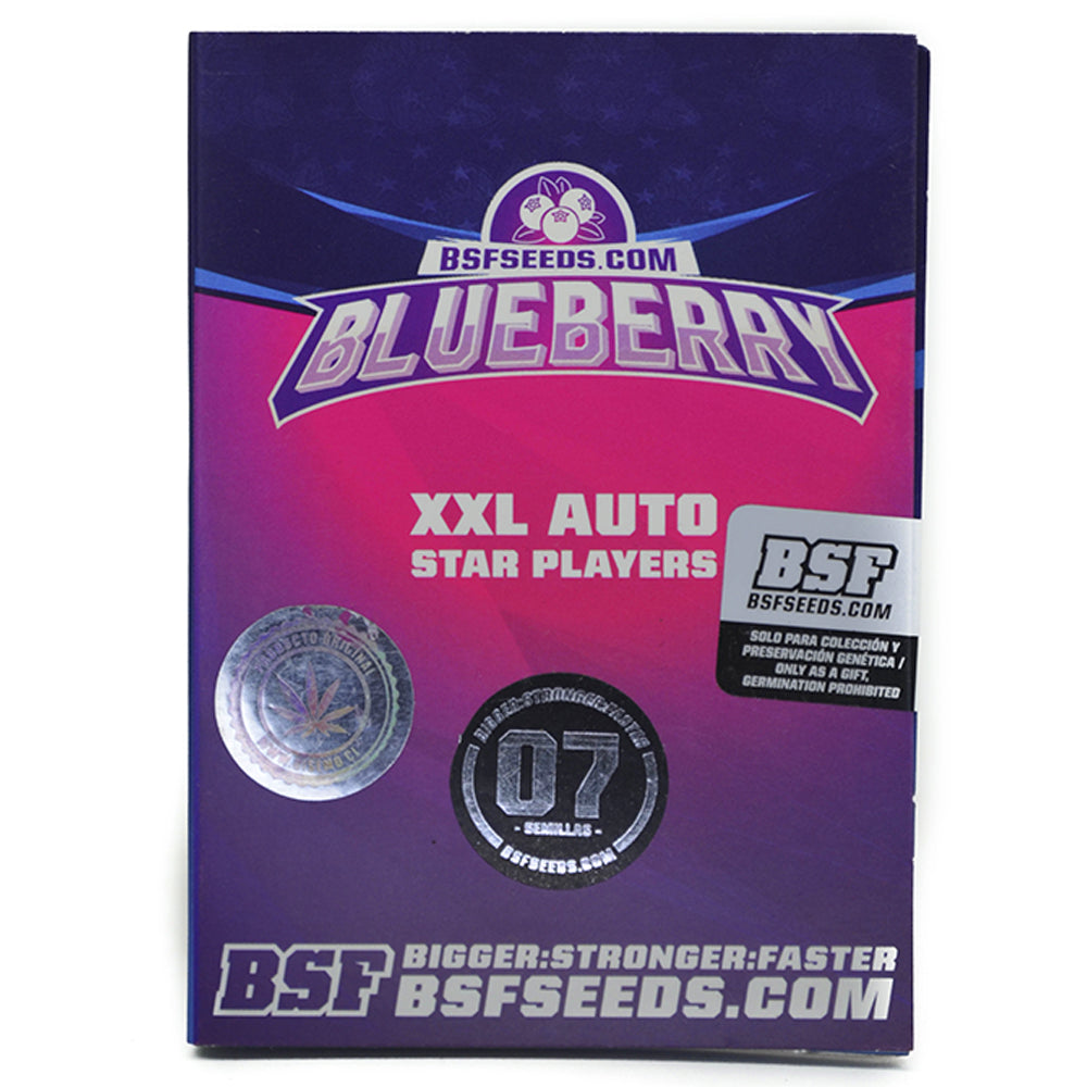 BLUEBERRY XXL AUTO X4 BSF SEEDS