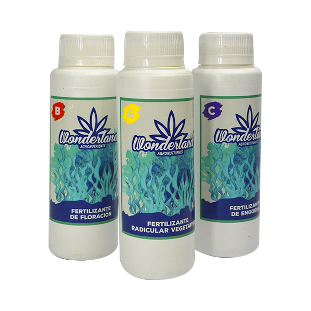 TRIPACK ORGANICO WONDERLAND