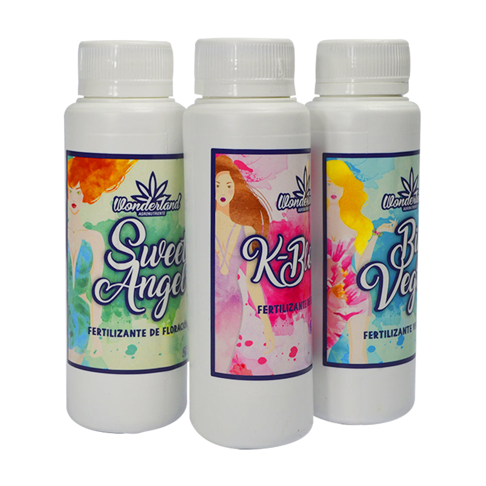 TRIPACK BIOMINERAL WONDERLAND