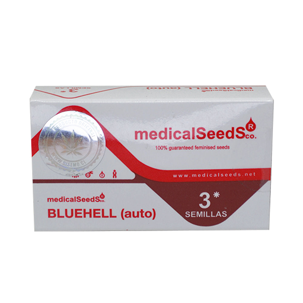 BLUEHELL AUTO X3 MEDICAL SEEDS