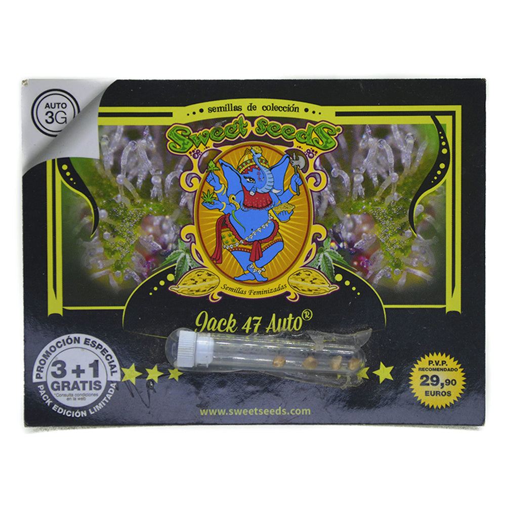 AUTO JACK 47 SWEET SEEDS