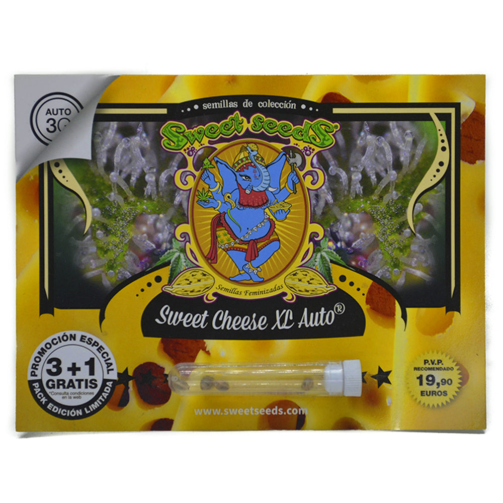 SWEET CHEESE XL AUTO 3+1 SWEET SEEDS