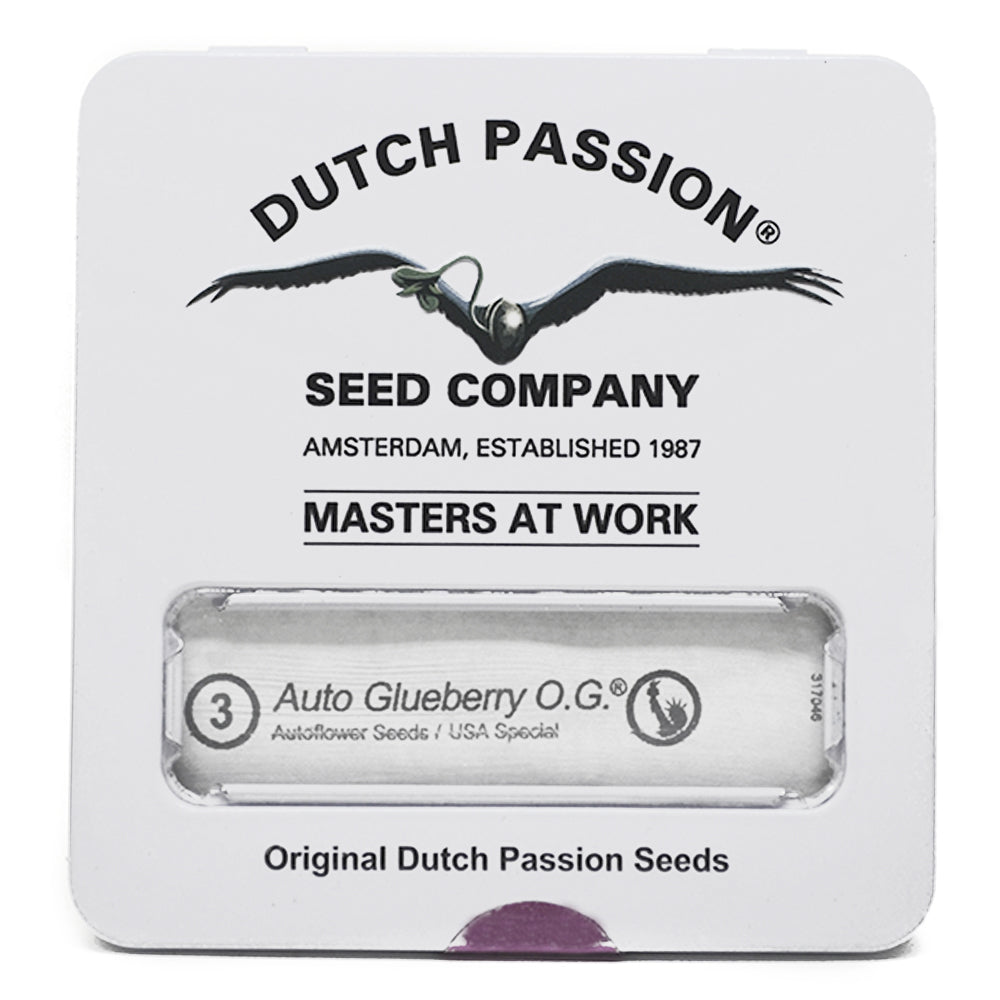 AUTO GLUEBERRY OG X3 DUTCH PASSION