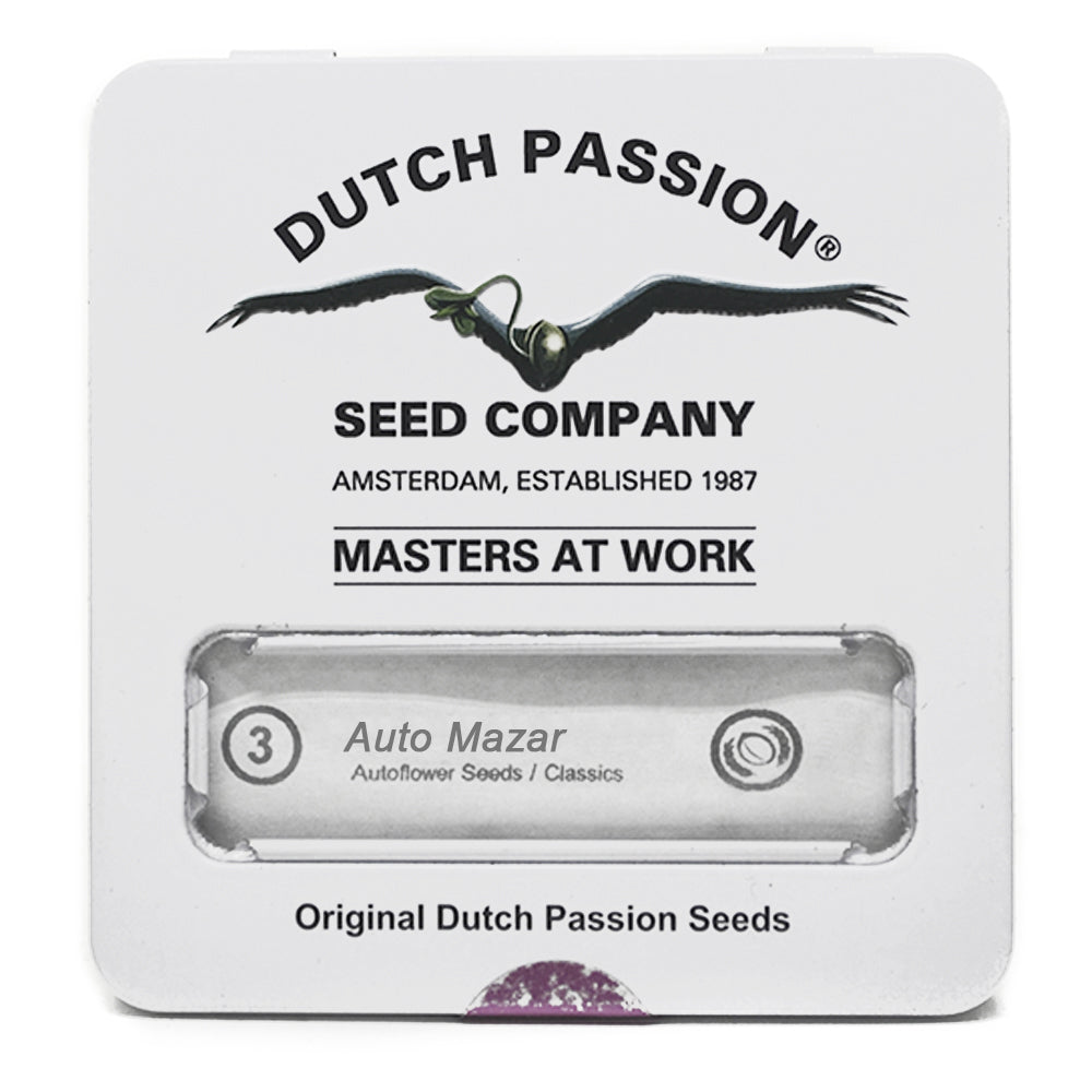 AUTO MAZAR X3 DUTCH PASSION