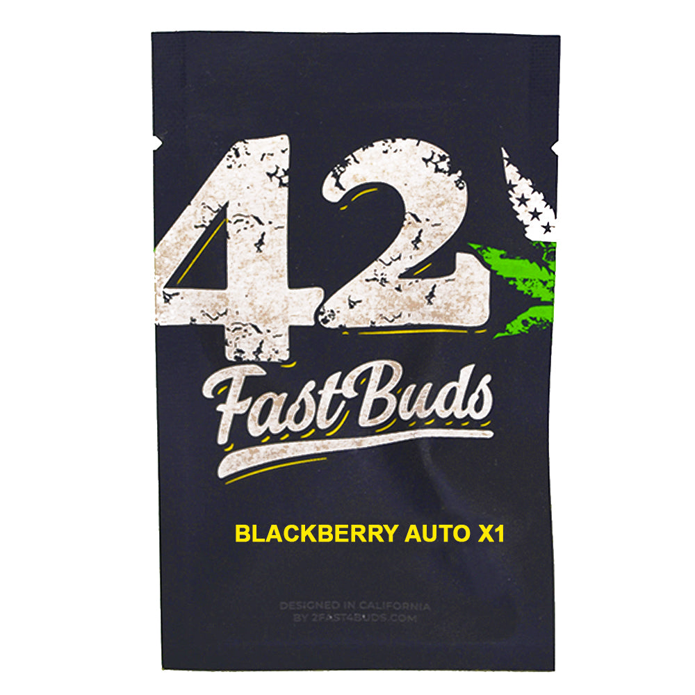 BLACKBERRY AUTO X1 FAST BUDS