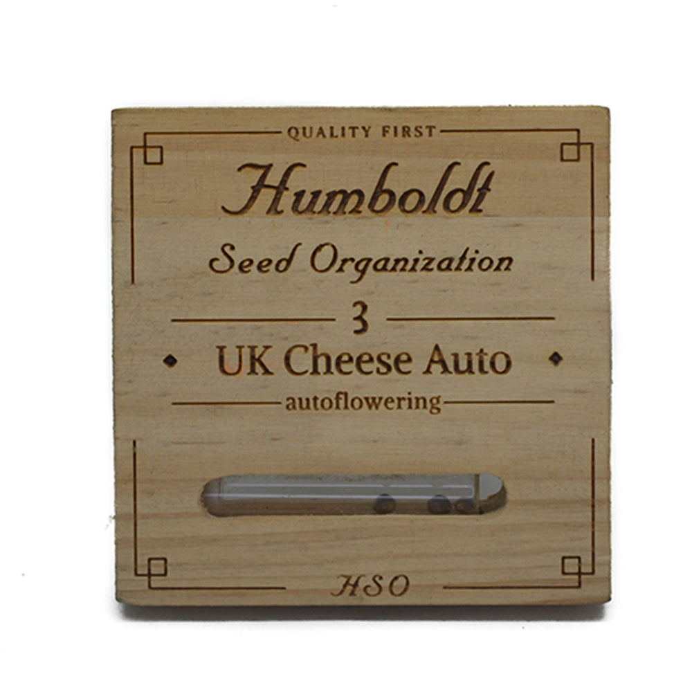 UK CHEESE AUTO X3 HUMBOLDT SEEDS