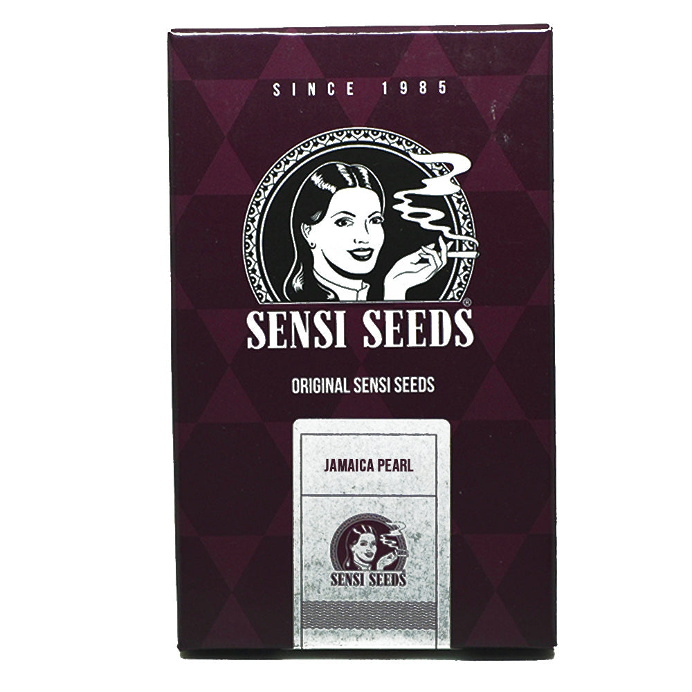 JAMAICAN PEARL X3 FEM SENSI SEEDS