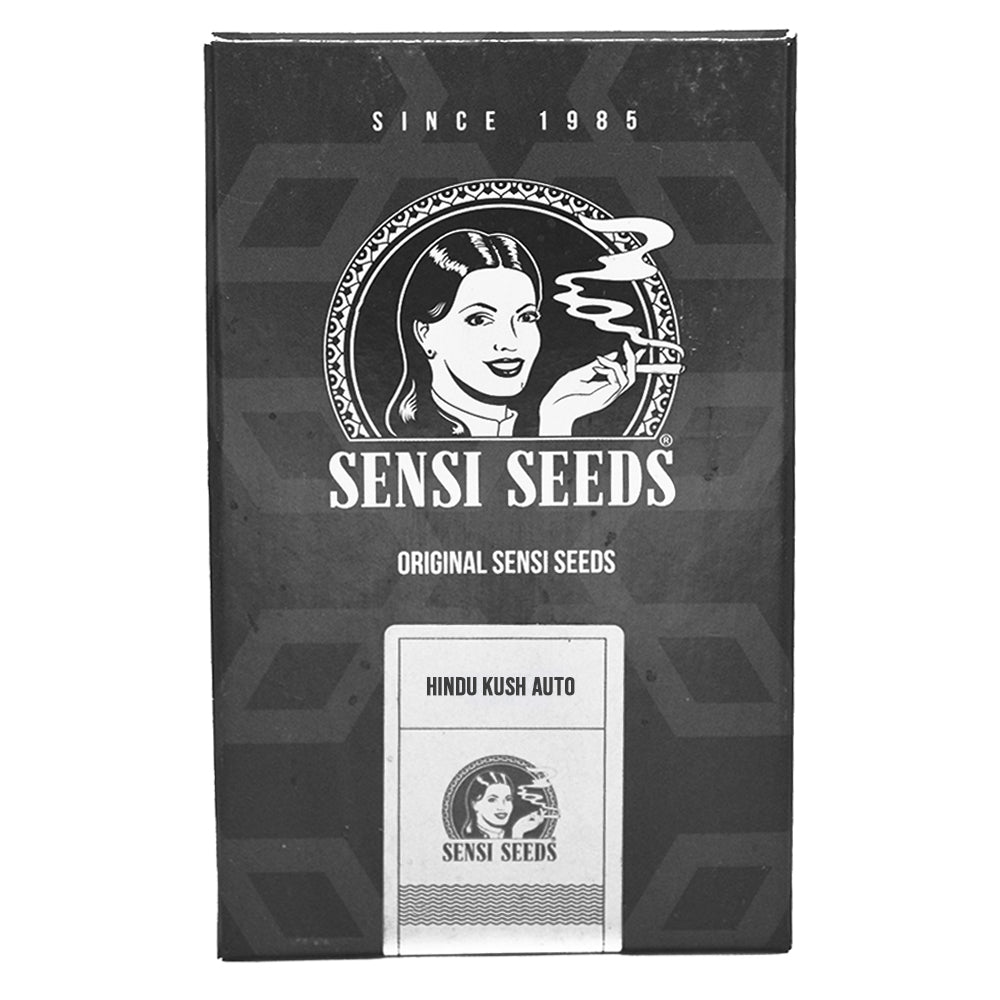 HINDU KUSH AUTO X3 SENSI SEEDS