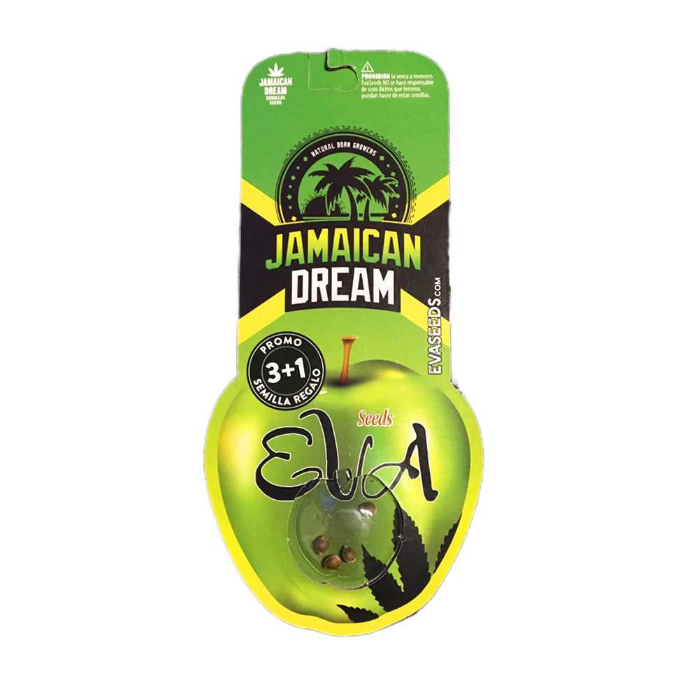 JAMAICAN DREAMS X 3+1 EVA SEEDS