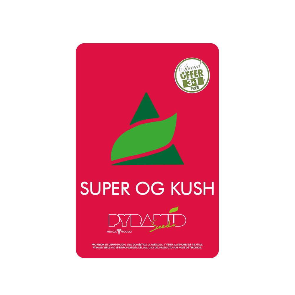 SUPER OG KUSH X1 PYRAMID SEEDS