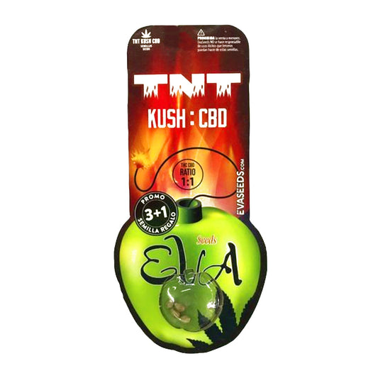 TNT KUSH CBD X3 EVA SEEDS