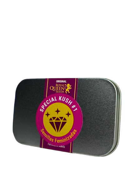 SPECIAL KUSH 1 FEM X100 ROYAL QUEENS SEEDS