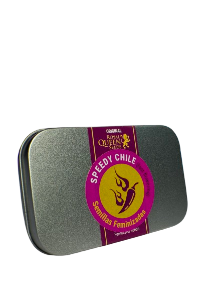 SPEEDY CHILE FAST X100 ROYAL QUEEN SEEDS