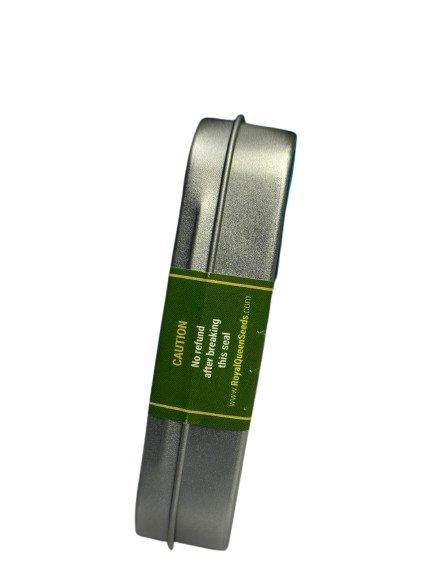 ROYAL AK AUTO X100 ROYAL QUEEN