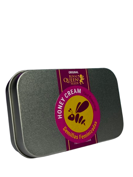 HONEY CREAM FAST X100 ROYAL QUEEN SEEDS